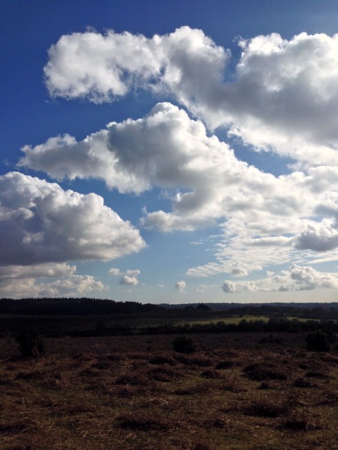 Life is beautiful. Taken at the weekend on a lovely forest walk  #no filers on enhancement.